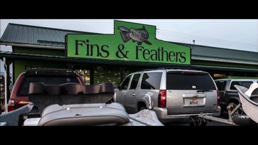 Fins & Feathers of Bozeman