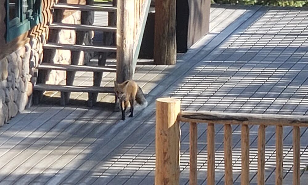 Dog Creek Lodge & Nordic Center