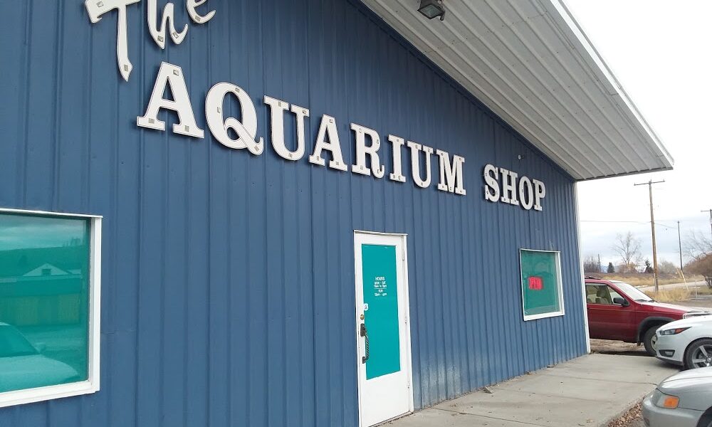 The Aquarium Shop